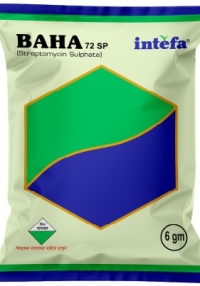product name