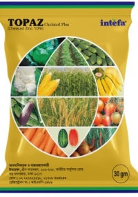 product name