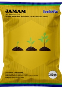 product name